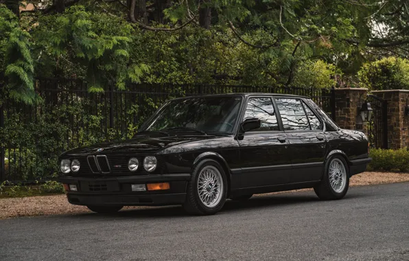 Картинка BMW, E28, 1988, M5