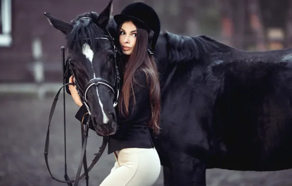 Картинка девушка, конь, черный, лошадь, макияж, фигура, прическа, шатенка