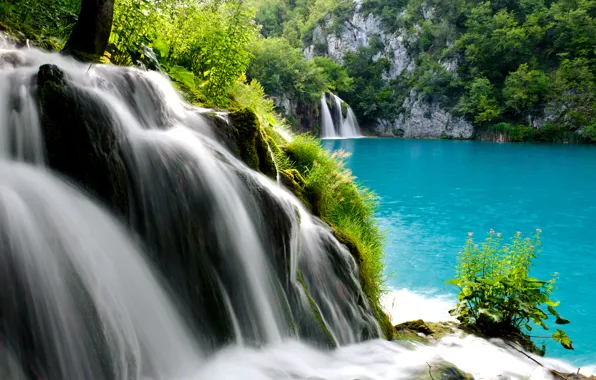 Картинка лес, деревья, озеро, водопад, поток