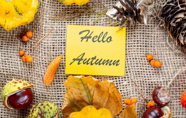Картинка осень, листья, ягоды, надпись, тыква, шишки, каштаны