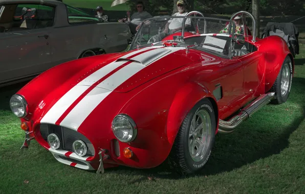 Cobra, 1964