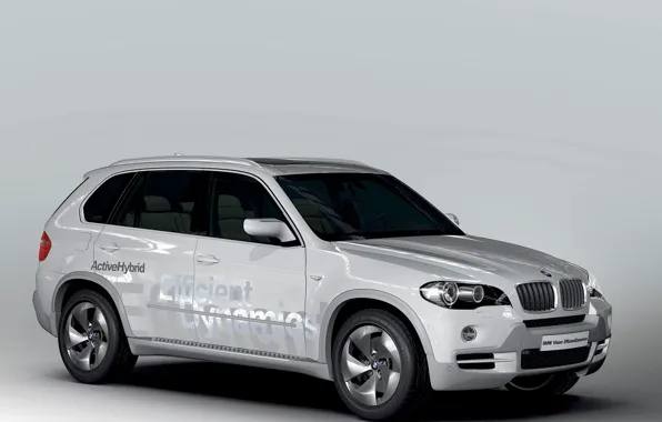 BMW, hybrid, кроссовер, X5