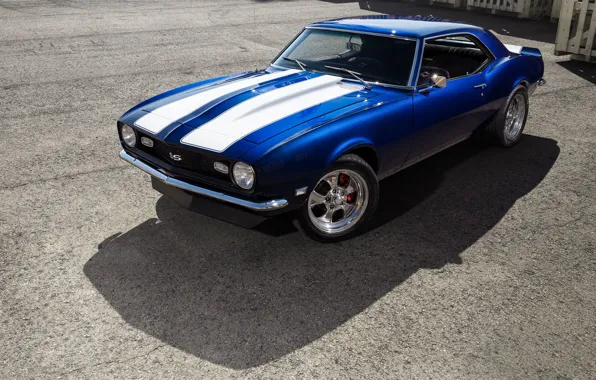 Картинка Chevrolet, Camaro, Blue, 1968