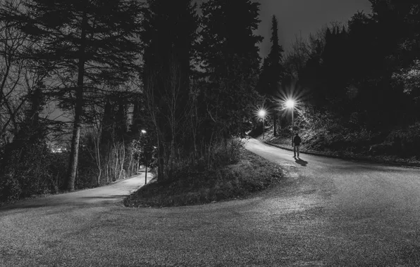 Картинка дорога, деревья, ночь, спина, мужчина, ходьба, фонарные столбы