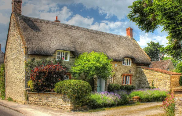 Уют, дом, Англия, HDR, design, houses, кустарники, England