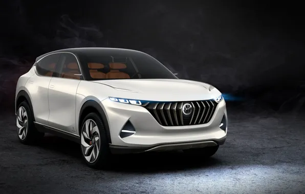 Hybrid, 2018, кроссовер, Pininfarina, Kinetic, K350