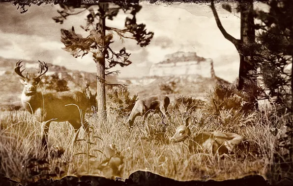 HDR, Game, Trees, Animals, UHD, Red Dead Redemption 2, Xbox One X, RDR2
