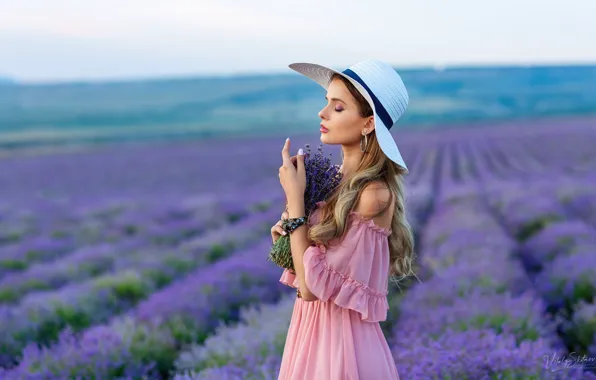 Картинка поле, лето, девушка, цветы, природа, поза, шляпа, платье