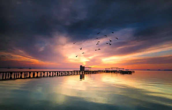Картинка море, закат, птицы, мост