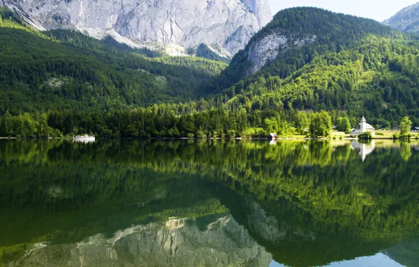 Картинка лес, деревья, горы, озеро, отражение, скалы, Австрия, Gruner