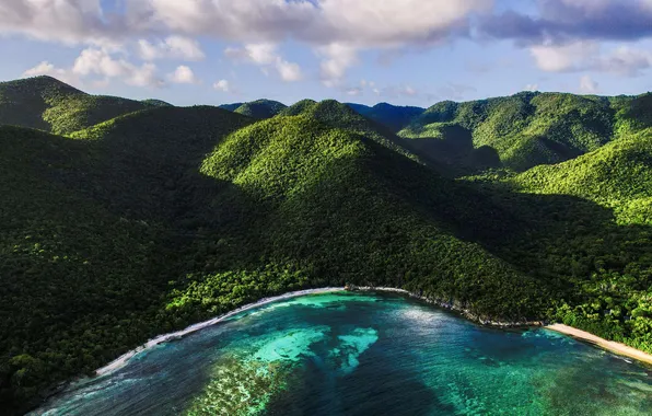 Forest, sea, landscape, coast, nature, clouds, bay, coral