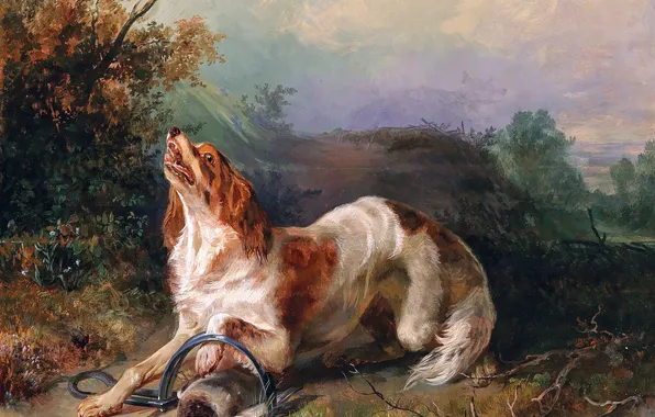 Собака, Картина, Ловушка, Немецкий художник, Johann Matthias Ranftl, Иоганн Маттиас Ранфтль, Капкан