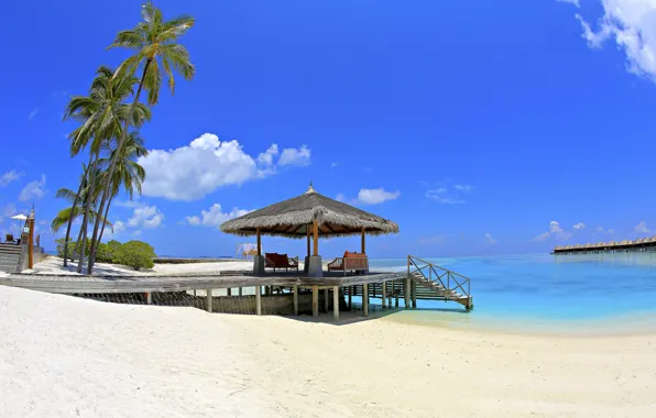 Картинка пальмы, отдых, рай, Мальдивы, пляж, песок, море, бунгало