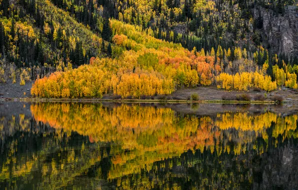 Осень, лес, горы, туман, озеро, отражение, берег, вид