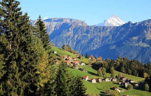 Картинка деревья, горы, поля, дома, Швейцария, склон, Beatenberg
