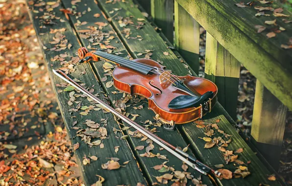 Музыка, скрипка, скамья
