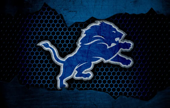 Wallpaper, sport, logo, NFL, american football, Detroit Lions