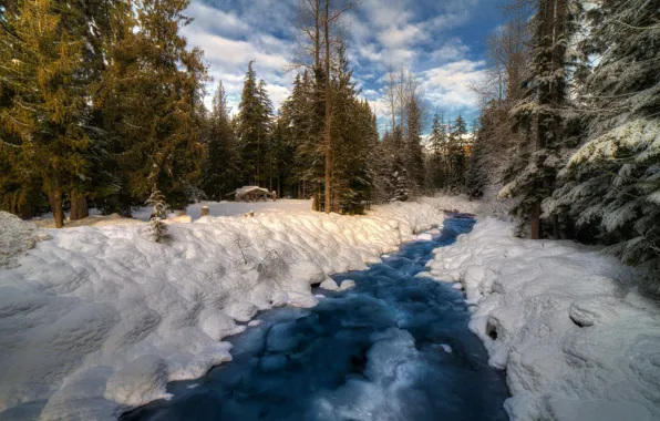 Зима, лес, снег, природа, река