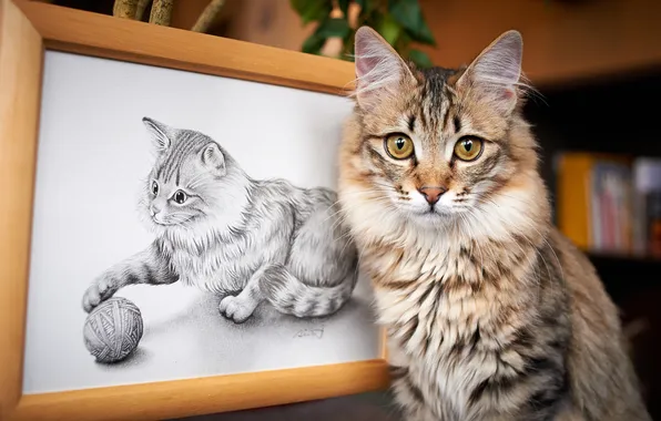 Кошка, кот, клубок, игра, рисунок, картина