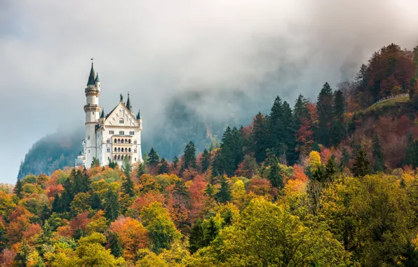 Осень, лес, деревья, горы, туман, замок, Германия, Бавария