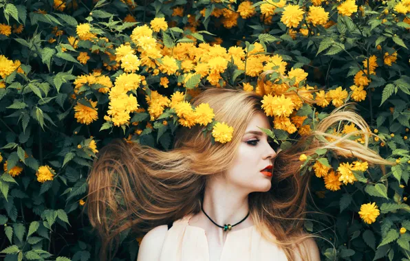 Картинка Girl, Nature, Flowers, Beauty, Yellow, Summer, Hair, Long
