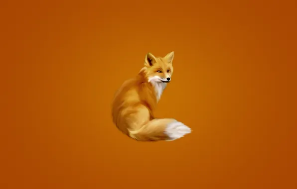 Лиса, хвост, оранжевый фон, fox, пушистая