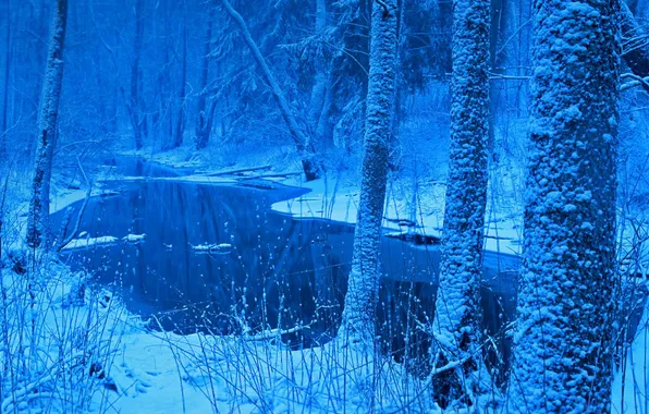 Картинка зима, лес, снег, Польша, Беловежская пуща, река Лютовня