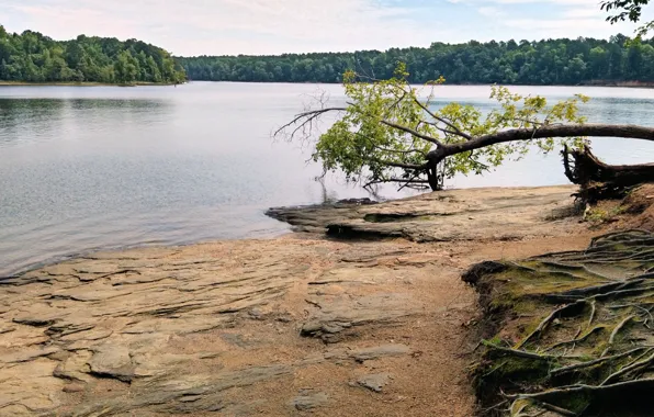 North Carolina, Lake, Raleigh, Falls Lake