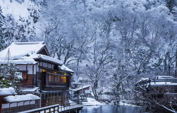Картинка зима, деревья, дом, река, япония, здание, Лес