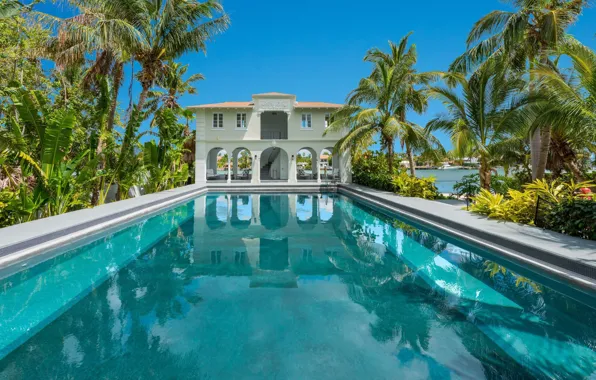Пальмы, вилла, бассейн, Miami, Майами-Бич