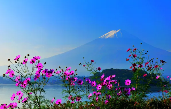 Картинка небо, цветы, гора, Япония, Фудзияма, fuji