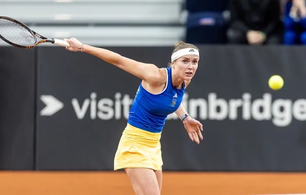 Ukraine, Sport, Tennis, WTA, Ukrainian, Elina Svitolina, Svitolina, Monfils