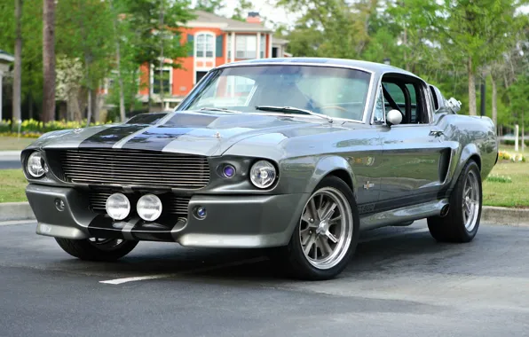 Mustang, Ford, Shelby, Eleanor, GT 500, '1967