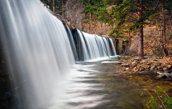 Картинка лес, река, водопад