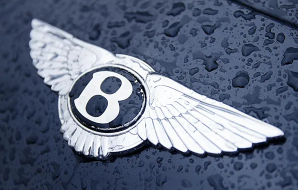 Картинка вода, капли, Bentley, логотип, капот, значек