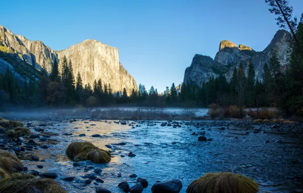 Картинка деревья, камни, скалы, Калифорния, США, речка, Национальный парк Йосемити, Yosemite National Park