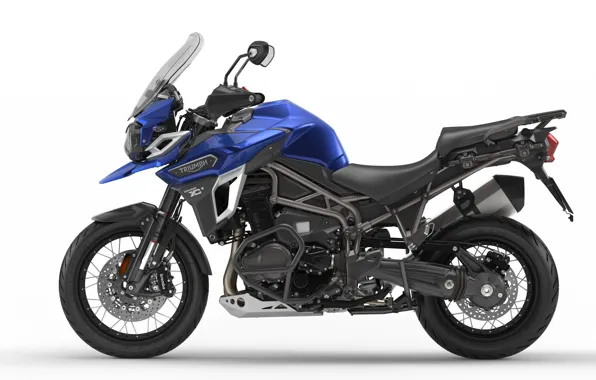 Tiger, motorcycle, triumph, 2016, 1200