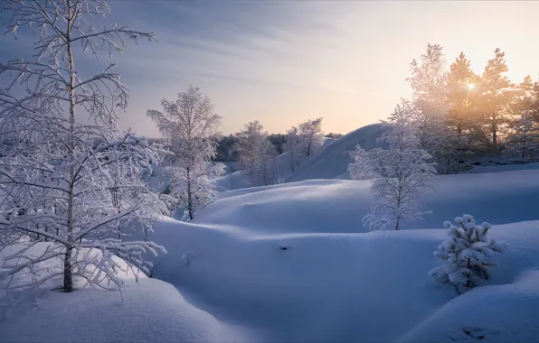 Зима, снег, деревья, сугробы, Россия, Алексей Богорянов