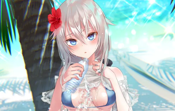 Girl, sexy, cleavage, beach, sky, long hair, boobs, anime