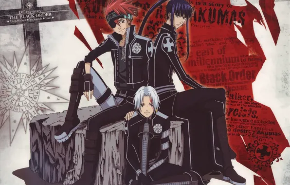 Форма, парни, трио, D. Gray-man