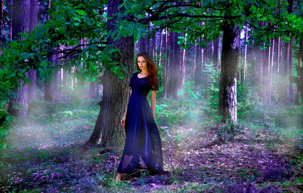 Картинка Purple, Wood, Model, Nastya, Dress, Leaves, Mystery