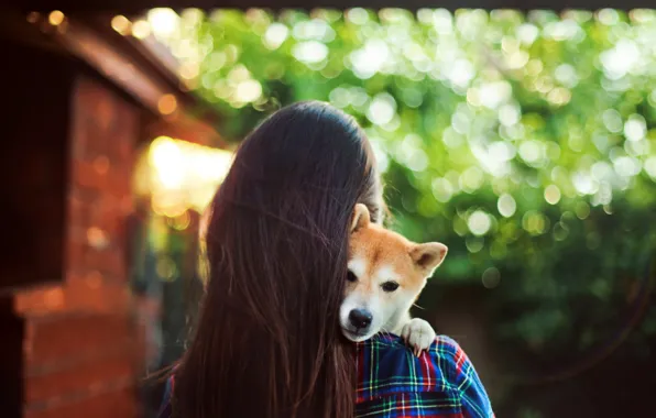 Girl, Dog, puppy, long hair, photo, hug, animal, brunette