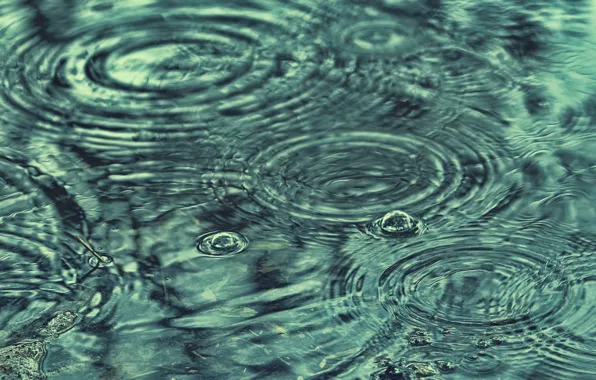 Картинка вода, капли, дождь