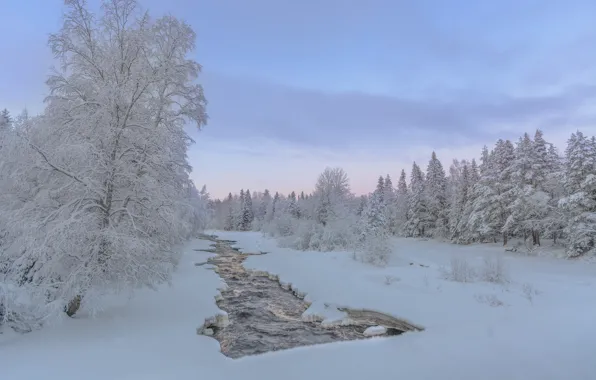 Зима, лес, снег, деревья, река, Финляндия