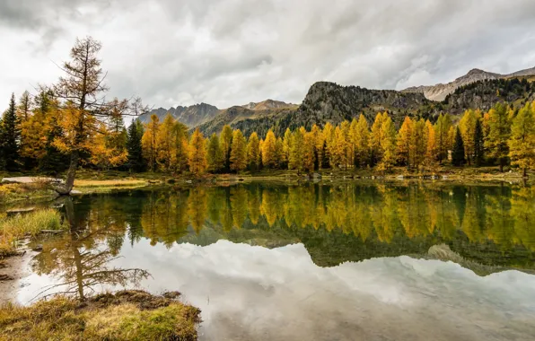 Картинка осень, лес, природа, озеро, отражение