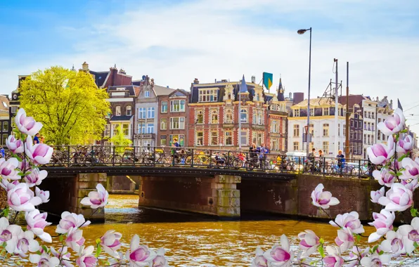 Картинка мост, река, весна, Амстердам, цветение, bridge, blossom, Amsterdam