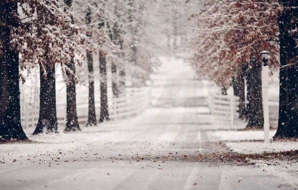 Картинка зима, дорога, листья, снег