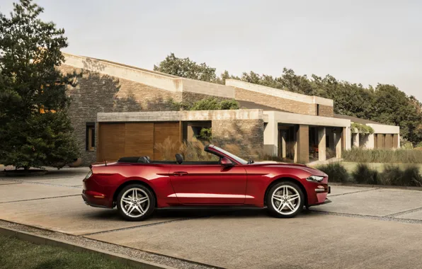 Ford, стоянка, профиль, кабриолет, 2018, тёмно-красный, Mustang Convertible