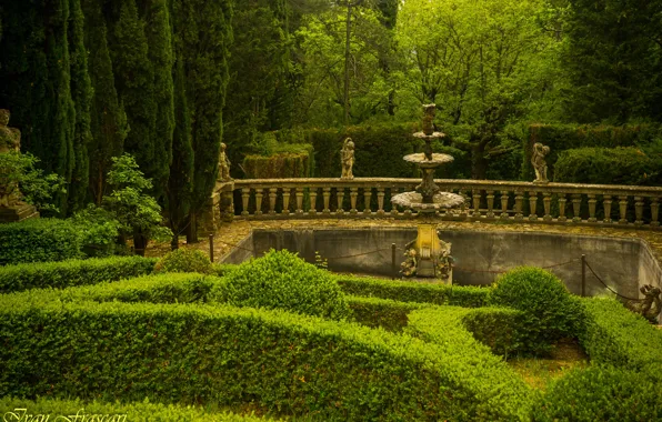Деревья, вилла, сад, красиво, Италия, Italy, Тоскана, Tuscany