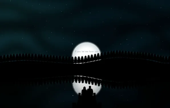 Ночь, отражение, луна, вектор, пара